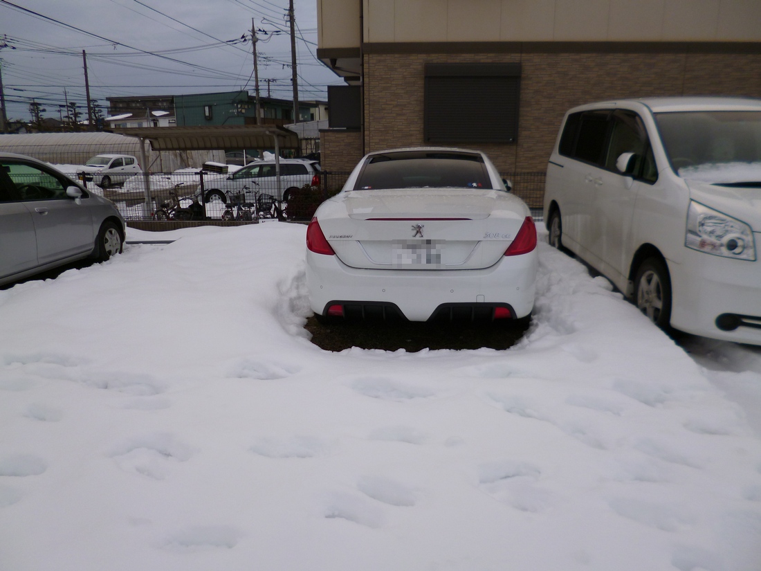 千葉県は今日も雪！_c0280416_042555.jpg