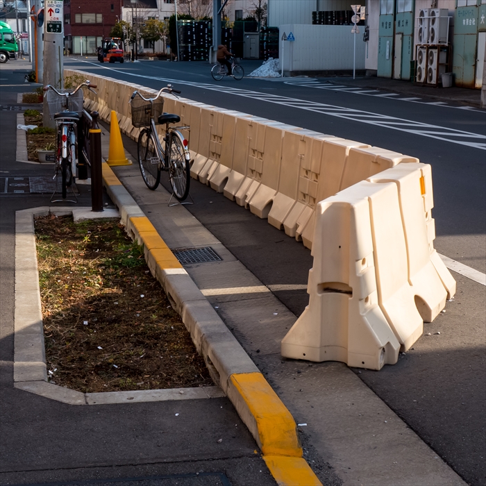 葛飾区・江戸川区2-1/2 2013年01月26日 散歩撮影_c0322016_11133137.jpg