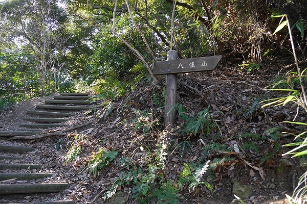 湘南平と吾妻山を巡る旅　その５_c0196928_18283820.jpg