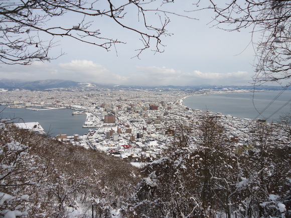 公園活用講座　函館山緑地　「冬山，冬景色を楽しむ～寒さを実感～」_e0145841_16451057.jpg