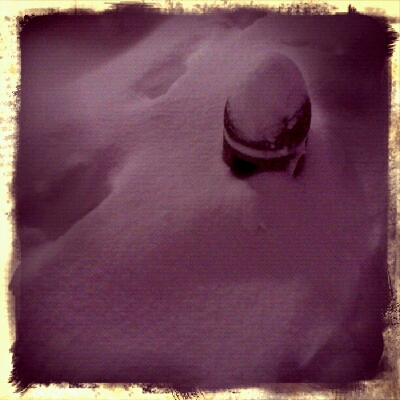☆雪＆たかゆきくん(o´∇｀o)☆_c0210747_832282.jpg