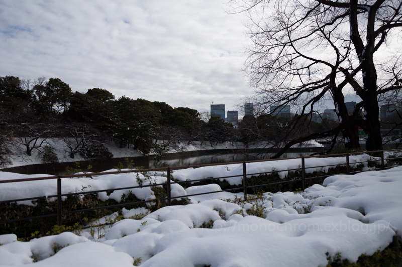 東京雪景色　其の参　千鳥ヶ淵 : Leica S _c0219256_7372165.jpg