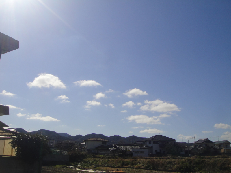 c0108460_17392952.jpg
