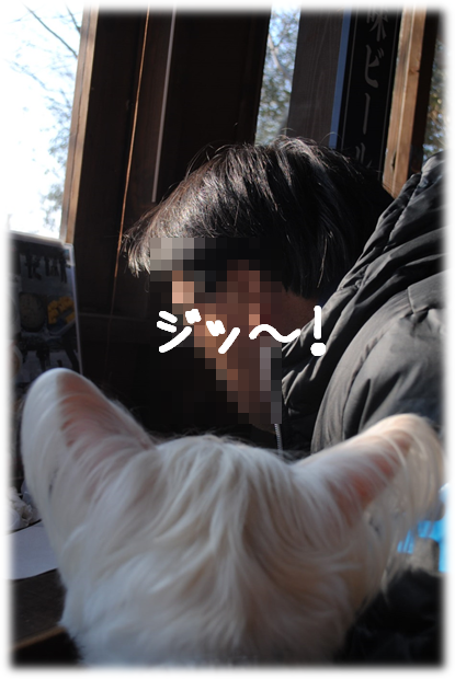 b0242873_00084295.png