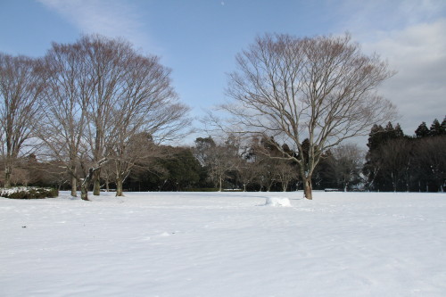 大雪にギラギラ　２／９　晴れ_e0114977_10213168.jpg