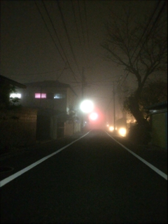 夜霧よ〜♪_f0110089_1219845.jpg