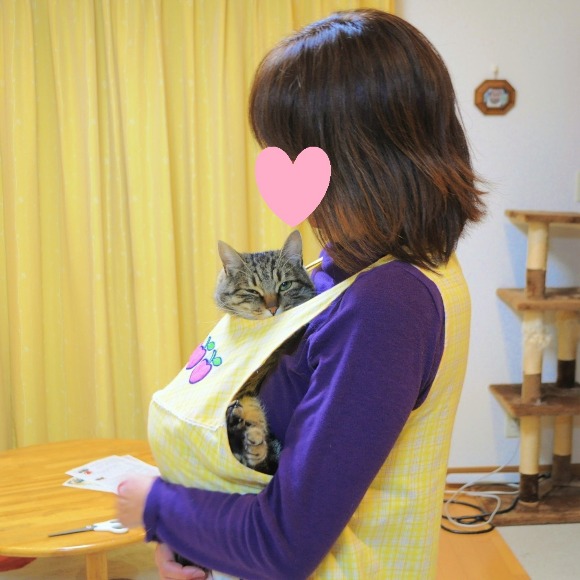 私の可愛い甘えん坊_a0126590_22162932.jpg