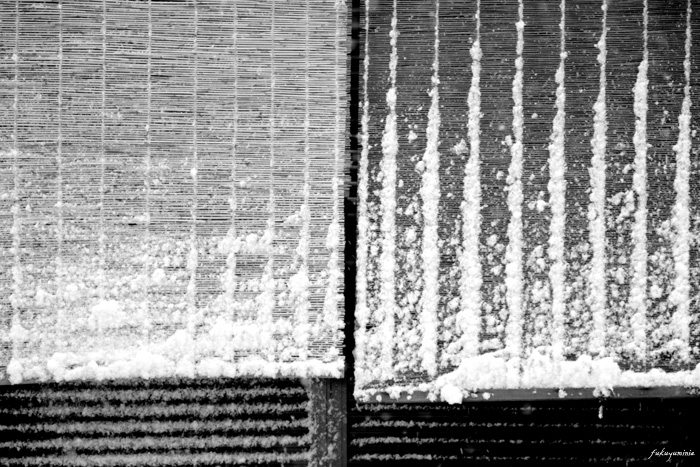 f0185802_23402999.jpg