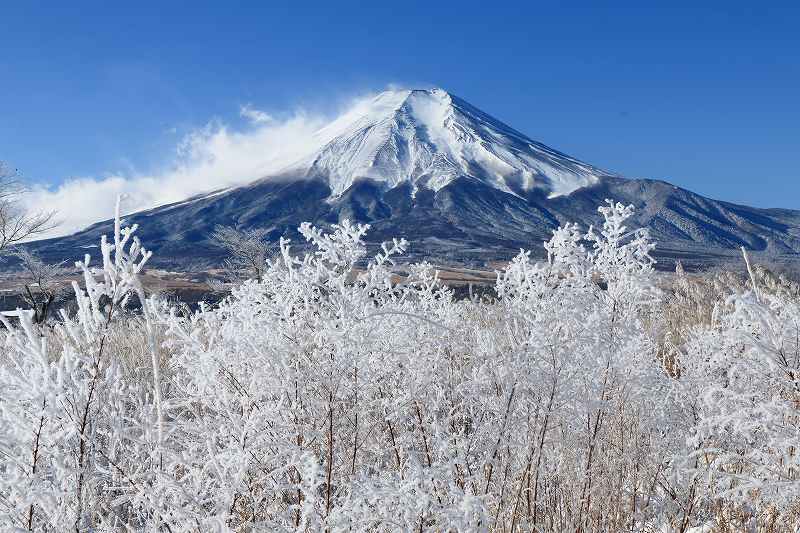 忍野の樹氷～③_a0188405_12194323.jpg