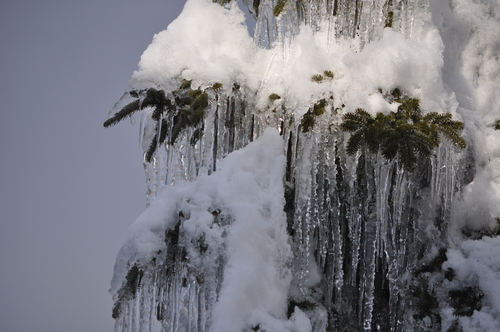 雪景_c0178009_2128841.jpg