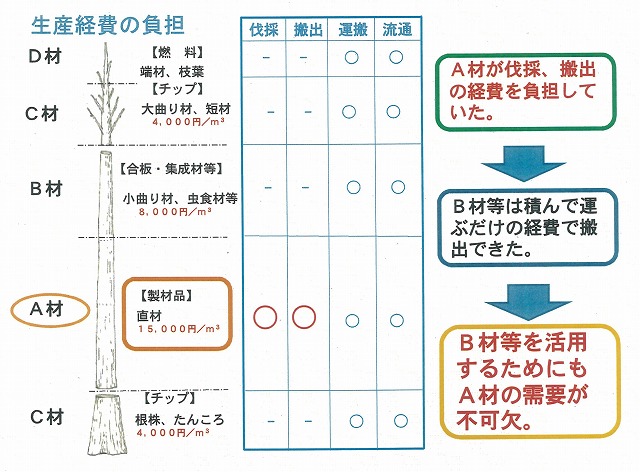 富士ヒノキのブランド化と売り込みへ!「FUJI HINOKI MADE」_f0141310_8162957.jpg