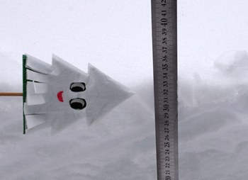 f0232920_10484289.gif