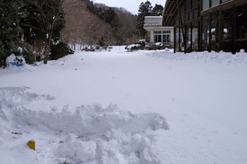 f0232920_10485420.gif