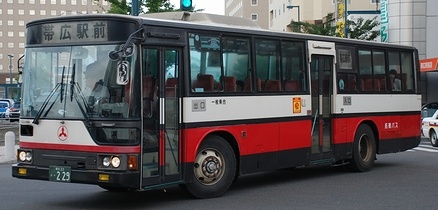 北海道拓殖バスのエアロスター_e0030537_0563744.jpg