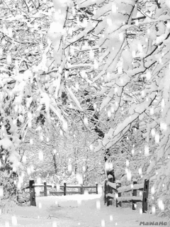 a0216142_08103645.gif