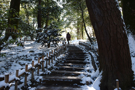 雪の兼六園（５）_c0093046_6542338.jpg