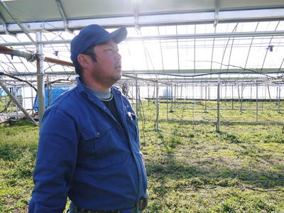 熊本ぶどう 社方園 ハウス張りと熊本農業高校からの農業実習(2014)_a0254656_18433954.jpg