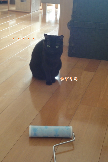 f0054859_11173435.jpg