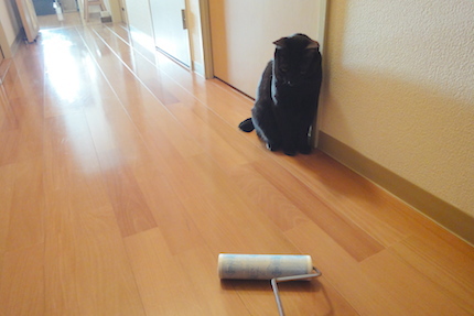 f0054859_111747.jpg