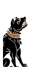 e0040579_72538.png
