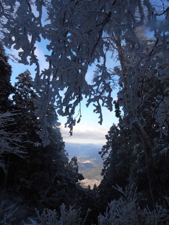 e0111396_16568.jpg