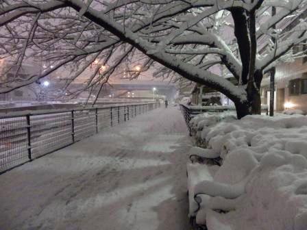 ニッポン満喫　雪国・東京都下＠東村山_a0216003_21214028.jpg