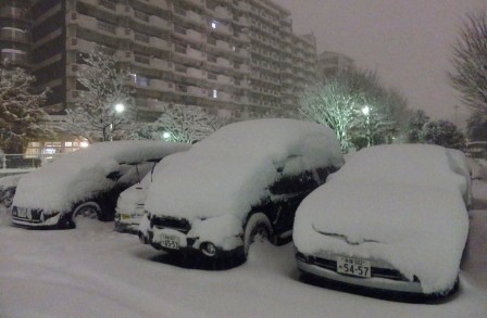 ニッポン満喫　雪国・東京都下＠東村山_a0216003_21245583.jpg