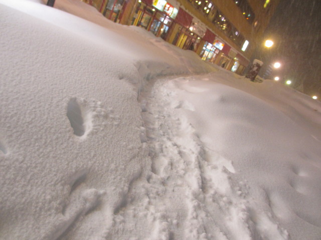 c0212604_23111773.jpg