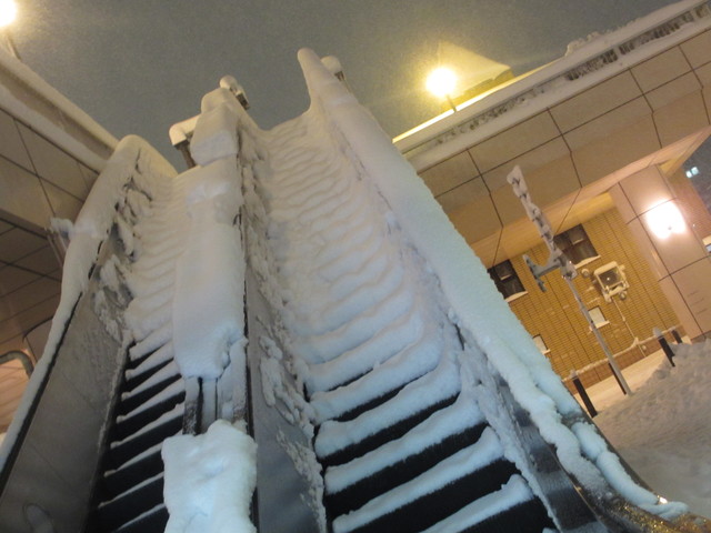 c0212604_23113330.jpg
