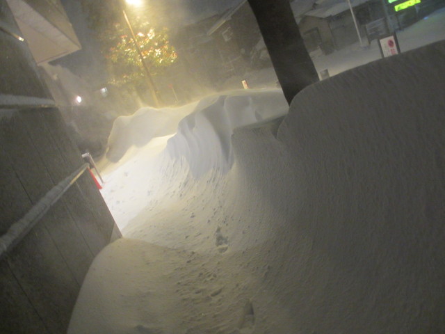 c0212604_2314838.jpg