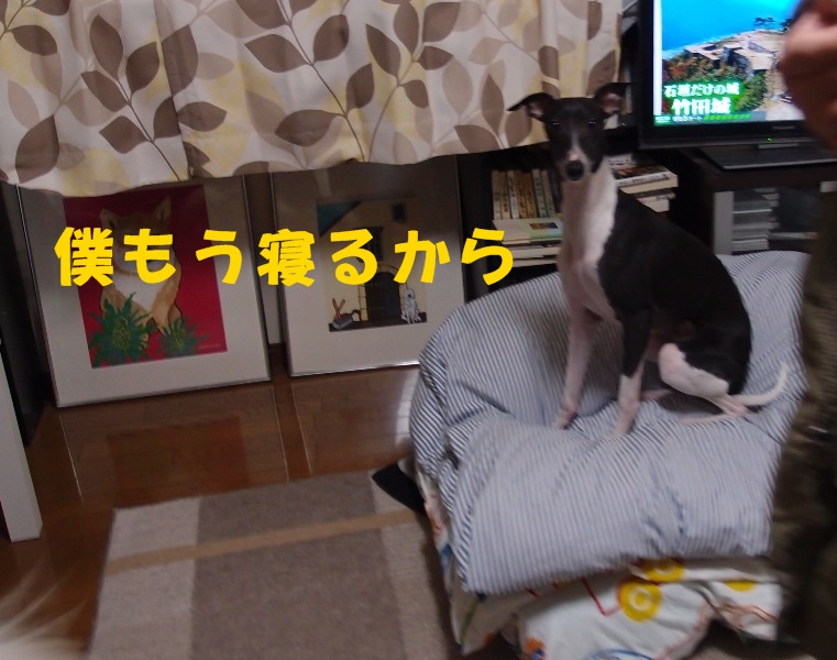 e0018604_06131365.jpg