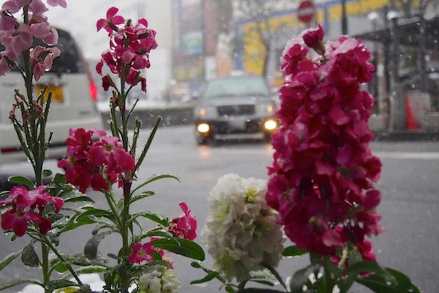 c0248013_2023311.jpg