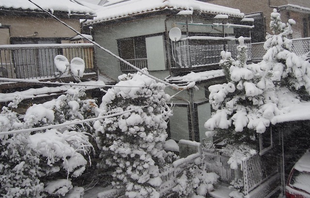 c0248013_21115210.jpg
