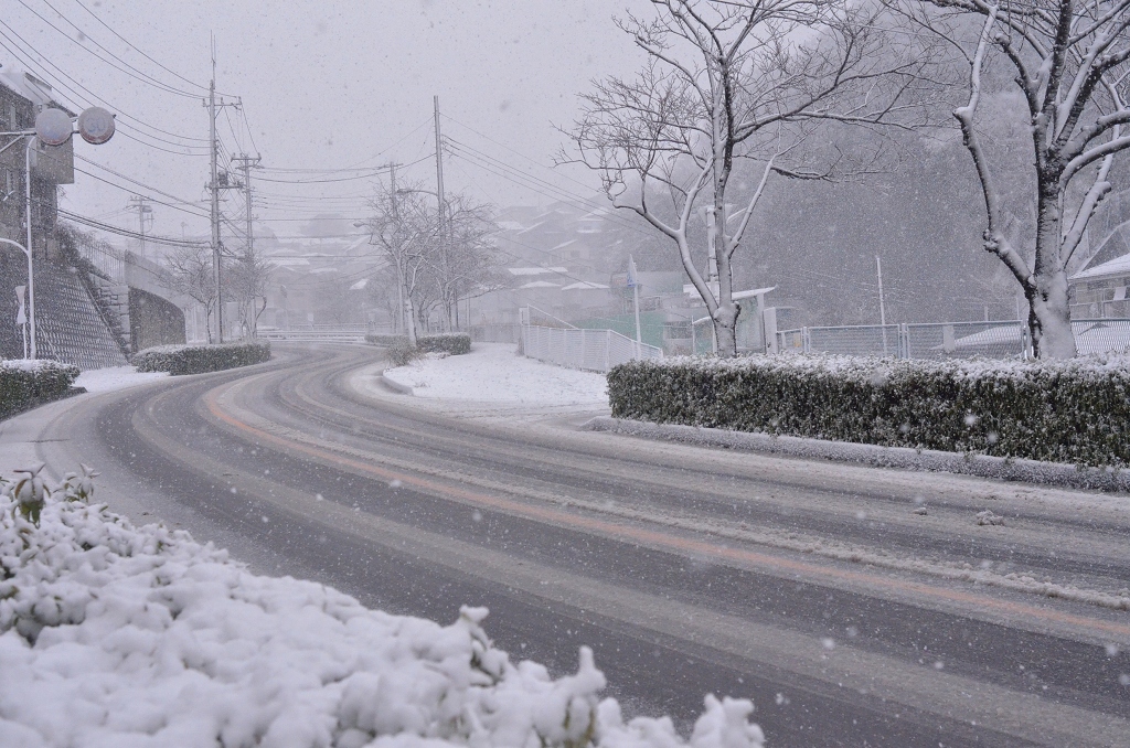 また雪ってさぁ～・・・・_d0065116_2035395.jpg