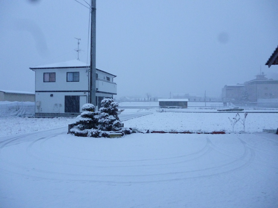 大雪の大阪^^;_f0228619_14153093.jpg