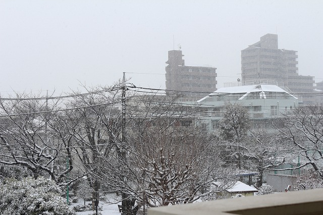 f0282319_11224955.jpg