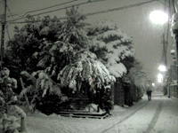 f0097523_22203288.jpg