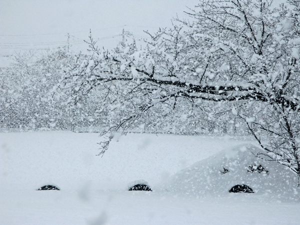 大雪_f0129726_22472583.jpg