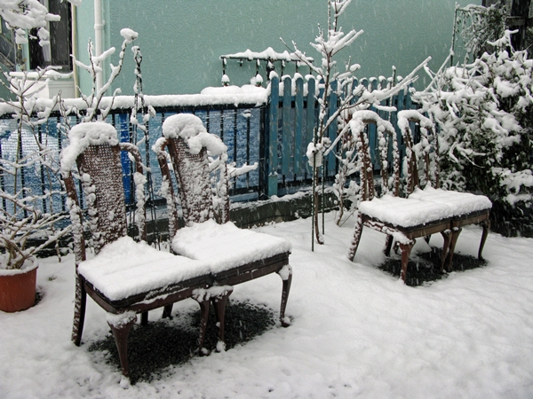 雪_f0129726_8253751.jpg