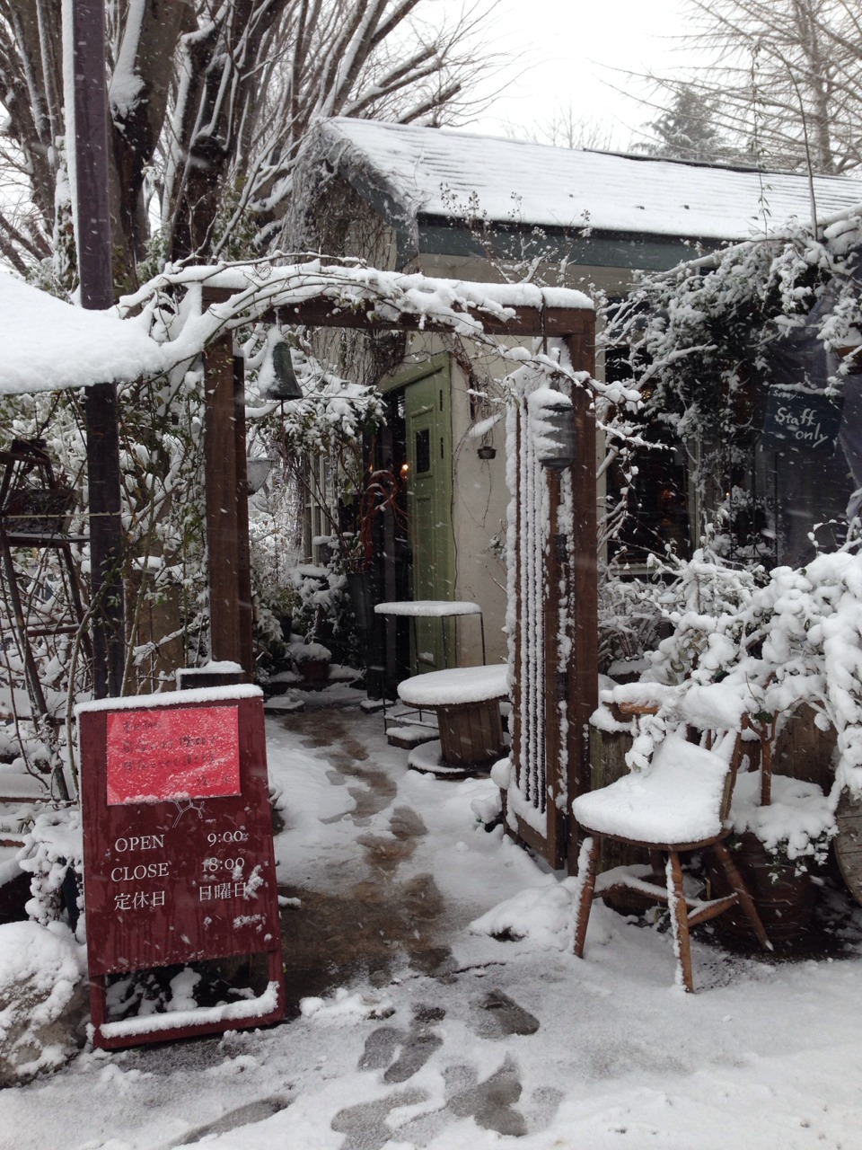 やっぱり雪_c0102228_20301899.jpg