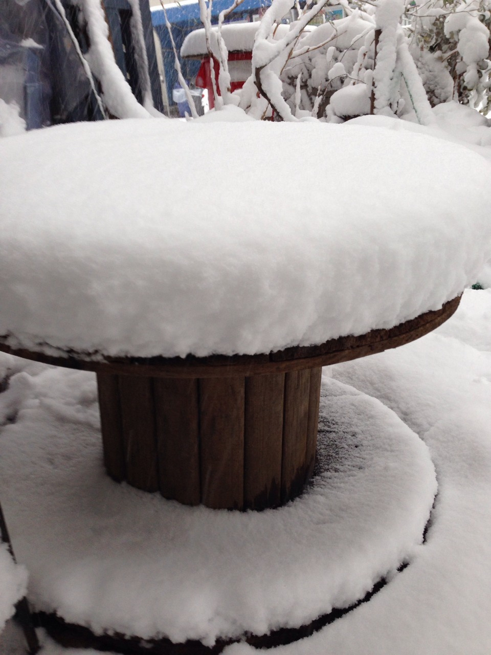 やっぱり雪_c0102228_20303378.jpg