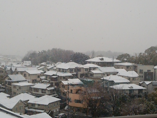 c0296630_1045994.jpg