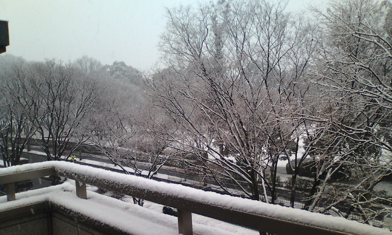 雪の朝だ_d0181230_9335858.jpg
