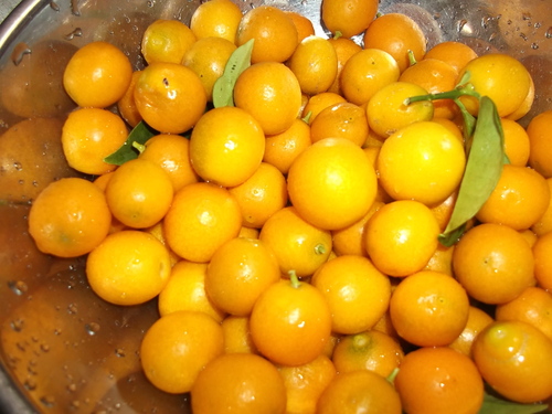 キンカンの甘露煮...初めてです!_b0137932_13514962.jpg