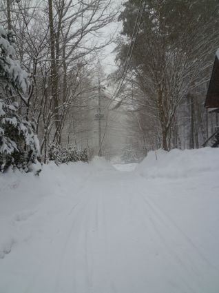 b0270334_15033364.jpg