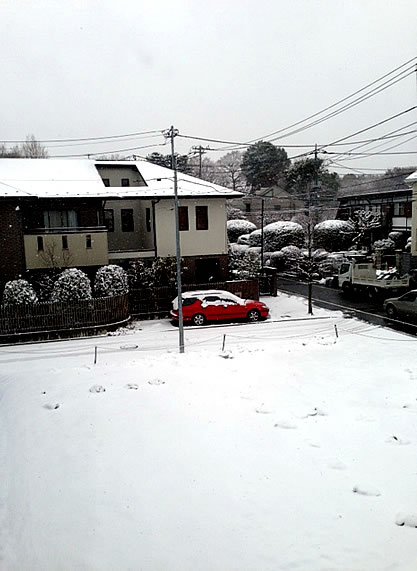 雪_d0248537_1041387.jpg