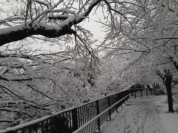 雪_d0248537_17243567.jpg