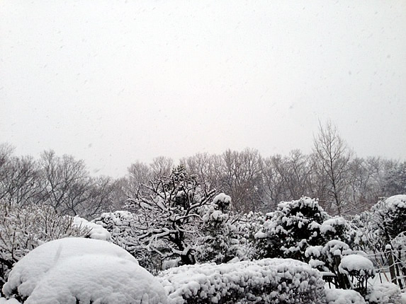 雪_d0248537_17244351.jpg