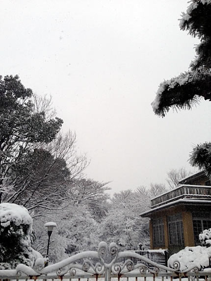 雪_d0248537_17245363.jpg