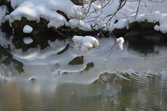 雪の兼六園（６）_c0093046_21511618.jpg